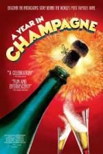 Watch A Year in Champagne Merdb