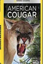 Watch National Geographic - American Cougar Merdb