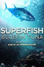 Watch Superfish Bluefin Tuna Merdb