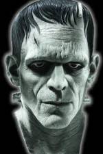 Watch Frankenstein Birth of a Monster Merdb