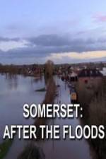 Watch Somerset: After the Floods Merdb