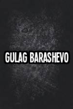 Watch Gulag Barashevo Merdb