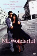 Watch Mr Wonderful Merdb
