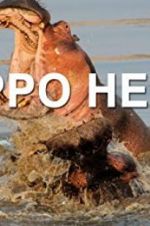 Watch Hippo Hell Merdb