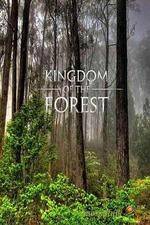 Watch National Geographic Kingdom of the Forest Merdb