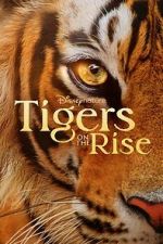 Watch Tigers on the Rise Merdb