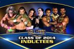 Watch WWE Hall of Fame Merdb