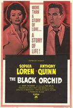 Watch The Black Orchid Primewire