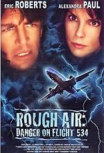 Watch Rough Air: Danger on Flight 534 Merdb