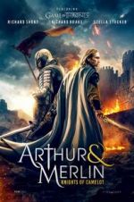 Watch Arthur & Merlin: Knights of Camelot Merdb