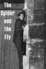 Watch The Spider and the Fly Merdb