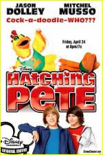 Watch Hatching Pete Merdb