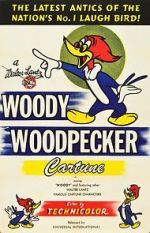 Watch The Woody Woodpecker Polka Merdb