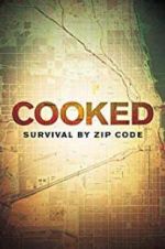 Watch Cooked: Survival by Zip Code Merdb