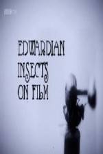 Watch Edwardian Insects on Film Merdb