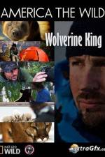 Watch National Geographic Wild America the Wild Wolverine King Merdb