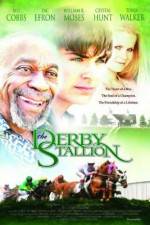 Watch The Derby Stallion Merdb