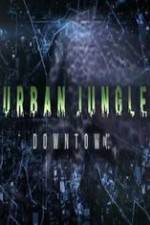 Watch National Geographic Wild Urban Jungle Downtown Merdb
