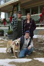 Watch Hallmark Hall of Fame A Dog Named Christmas Merdb