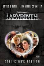 Watch Labyrinth Merdb