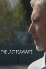 Watch Senna The Last Teammate Merdb