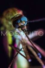 Watch Mosquito Merdb