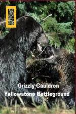 Watch National Geographic Grizzly Cauldron Merdb