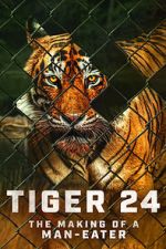 Watch Tiger 24 Merdb