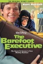 Watch The Barefoot Executive Merdb