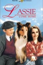 Watch Lassie Come Home Merdb