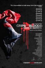 Watch Crips and Bloods: Made in America Merdb