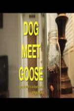 Watch Dog Meet Goose Merdb