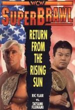 Watch WCW SuperBrawl I Merdb