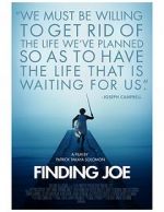 Watch Finding Joe Merdb