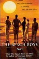 Watch The Beach Boys An American Family Merdb