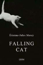 Watch Falling Cat Merdb