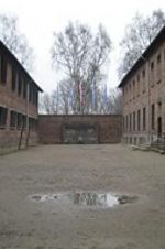 Watch Made in Auschwitz: The Untold Story of Block 10 Merdb