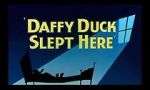 Watch Daffy Duck Slept Here (Short 1948) Merdb