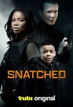Watch Snatched Projectfreetv