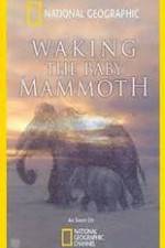 Watch Waking the Baby Mammoth Merdb