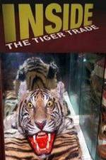 Watch Inside: The Tiger Trade Merdb
