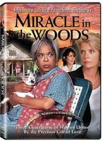 Watch Miracle in the Woods Merdb