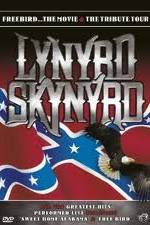 Watch Lynrd Skynyrd: Tribute Tour Concert Merdb