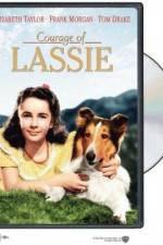 Watch Courage of Lassie Merdb