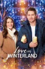 Watch Love in Winterland Merdb
