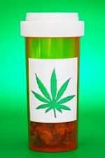 Watch Medicinal Cannabis and its Impact on Human Health Merdb