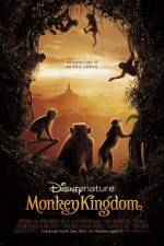 Watch Monkey Kingdom Merdb
