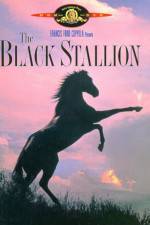 Watch The Black Stallion Merdb