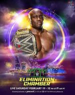 Watch WWE Elimination Chamber (TV Special 2022) Merdb