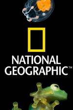 Watch National Geographic Wild Dam Beavers Merdb